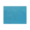 Set de table Turquoise Spunbond 30x40cm
